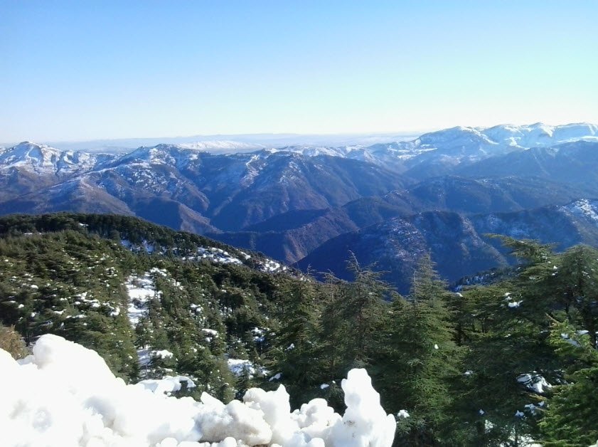 Chrea National Park, Blida, Blida Province, Algeria
